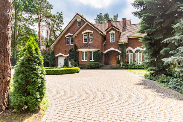 Best Professional Driveway Pavers  in Walnut Hill, TN