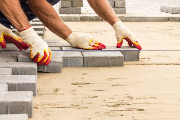 Best Local Driveway Pavers  in Walnut Hill, TN