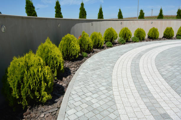 Reasons to Select Us for Your Driveway Paving Requirements in Walnut Hill, TN